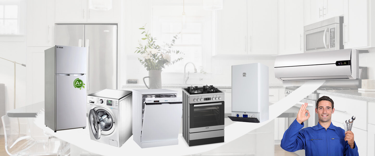 Zile Electrolux Servisi
